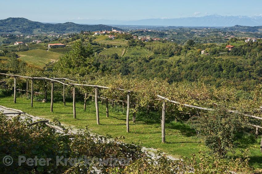 Italien_Friaul_Collio.jpg