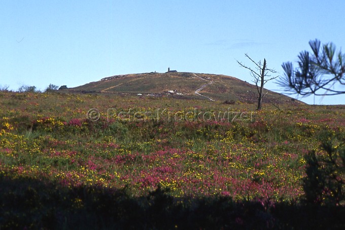 Frankreich, Bretagne, St. Michel, der höchste Berg der Bretagne