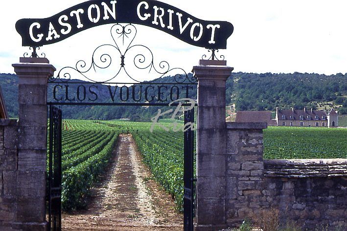 Frankreich, Weingut im Burgund