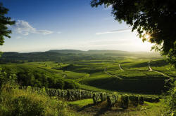 in der französischen Jura in der Franche-Comté, Frankreich, Bildquelle: C.R.T. Franche-Comté in der französischen Jura in der Franche-Comté, Frankreich, Bildquelle: C.R.T. Franche-Comté