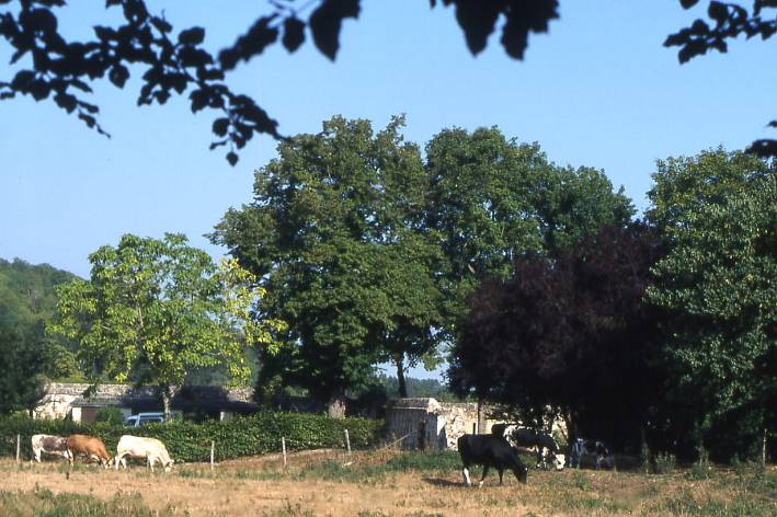 Frankreich, Landschaft um Le Bec Hellouin