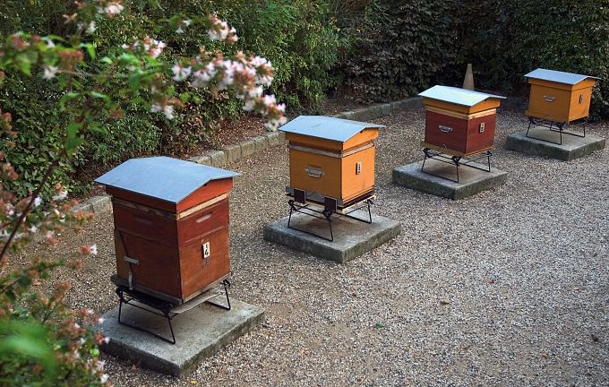 Frankreich, Paris, Bienenstöcke im Parc Georges Brassens (c) Paris Tourist Office, Fotograf Amélie Dupont