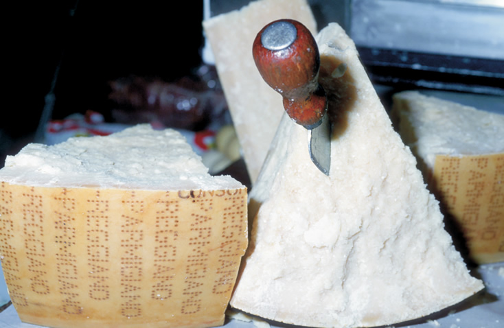 Italien, Emilia Romagna, Parmigiano Reggiano, Bildquelle: Fototeca ENIT © Vito Arcomano