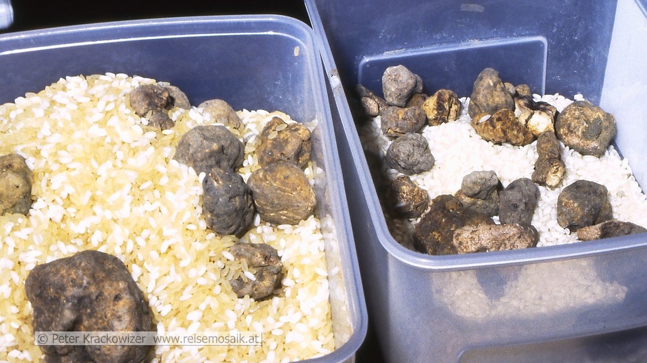 Italien, Piemont, Trüffel, in Reis gelagert, um die Feuchtigkeit abzuhalten