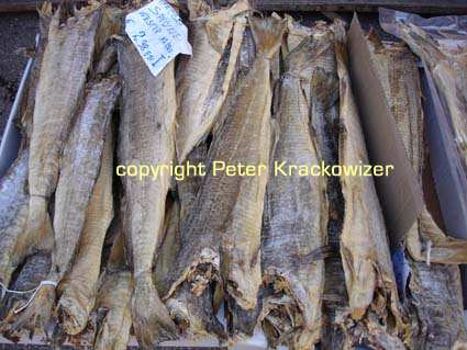 Italien, Veneto, Venezien, Stockfisch, ein beliebtes Essen im Veneto