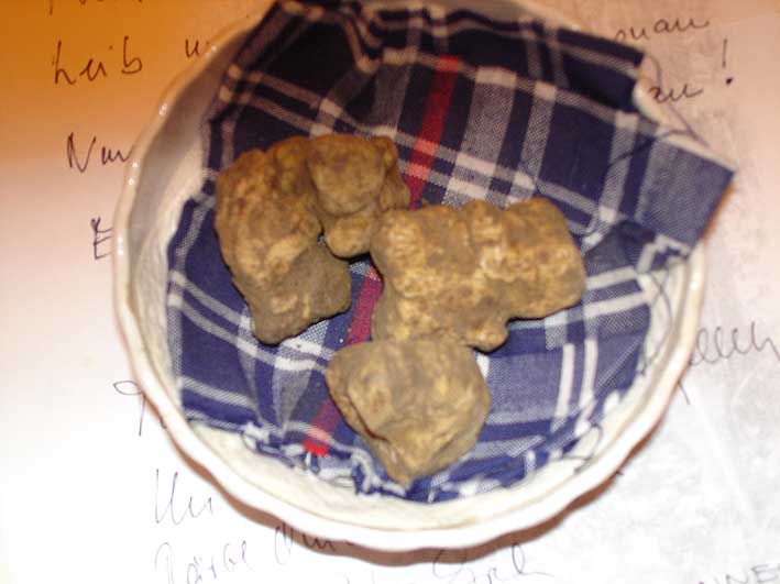 Italien, Piemont, Piemont im Casa di Tartufo - Trüffel