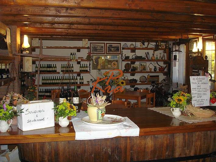 Italien, Veneto, Venezien, Weingut nahe Vo in den Euganeischen Hügeln